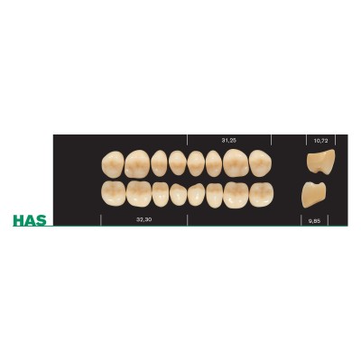 Major Plus HA Lower Posterior - 4-LAYER ACRYLIC TEETH