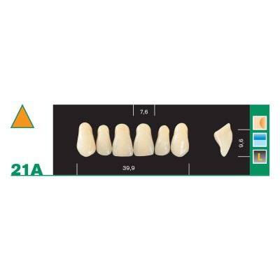 Major Plus Superior Anterior - 4-LAYER ACRYLIC TEETH
