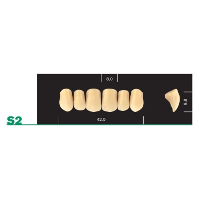 Major Plus Upper Front Small - 4-LAYER ACRYLIC TEETH