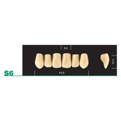 Major Plus Upper Front Small - 4-LAYER ACRYLIC TEETH