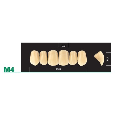 Major Plus Upper Anterior Medium - 4-LAYER ACRYLIC TEETH