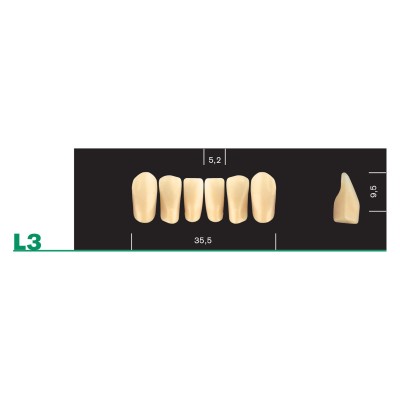 Major Plus Lower Front Moulds - 4 LAYER ACRYLIC TEETH