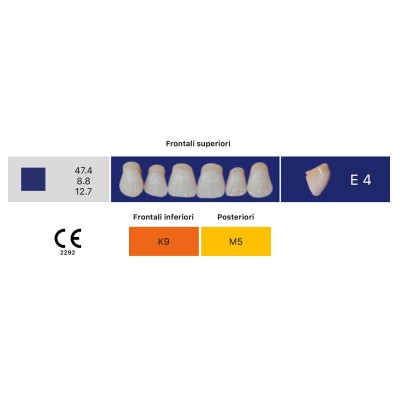 Eray Deluxe 1 Mouth (28 teeth, 4 rows) - Art. E4-K9-M5