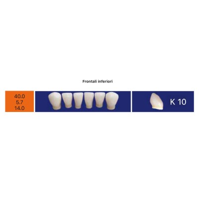 Eray Deluxe 1 Mouth (28 teeth, 4 rows) - Art. E5-K10-M5v