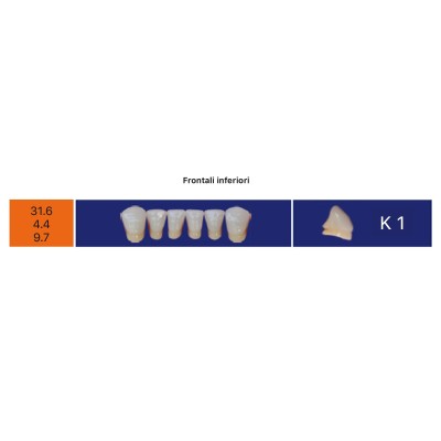 Eray Deluxe 1 Mouth (28 teeth, 4 rows) - Art. G1-K1-M1
