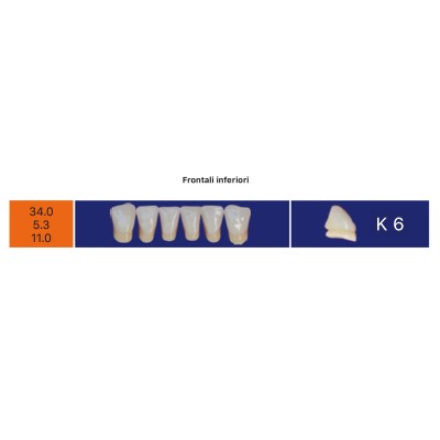 Eray Deluxe 1 Mouth (28 teeth, 4 rows) - Art. G2-K6-M2