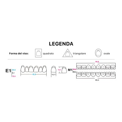 Eray Deluxe 1 Mouth (28 teeth, 4 rows) - Art. G3-K6-M4