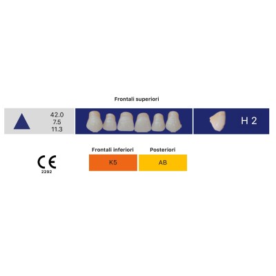 Eray Deluxe 1 Mouth (28 teeth, 4 rows) - Art. H2-K5-AB