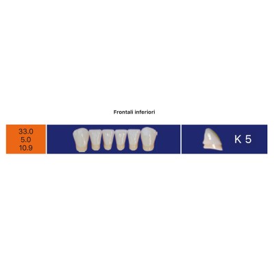 Eray Deluxe 1 Mouth (28 teeth, 4 rows) - Art. H2-K5-AB