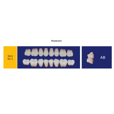 Eray Deluxe 1 Mouth (28 teeth, 4 rows) - Art. H2-K5-AB