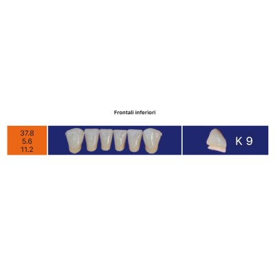 Eray Deluxe 1 Mouth (28 teeth, 4 rows) - Art. F4-K9-M5