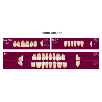 2-layer resin teeth - 1 Box (3 complete mouths - 12 rows) - Art. ACRYLIC TEETH