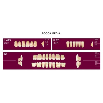 2-layer resin teeth - 1 Box (3 complete mouths - 12 rows) - Art. ACRYLIC TEETH