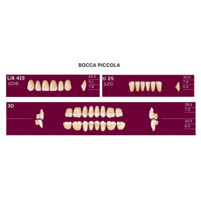 2-layer resin teeth - 1 Box (3 complete mouths - 12 rows) - Art. ACRYLIC TEETH