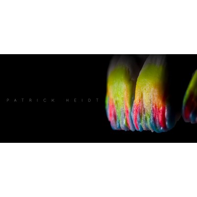 3S Fluo Fluorescent Pigment Powder 1.5gr - COLOURS TO HIGHLIGHT THE MASSES DURING STRATIFICATION