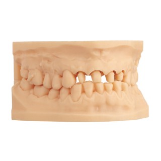 3S Dental Easy Model 1 kg