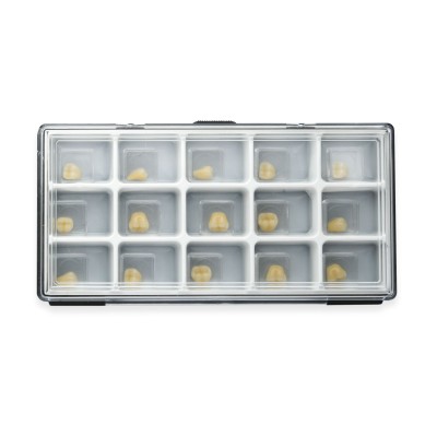 Single element box with 15 compartments