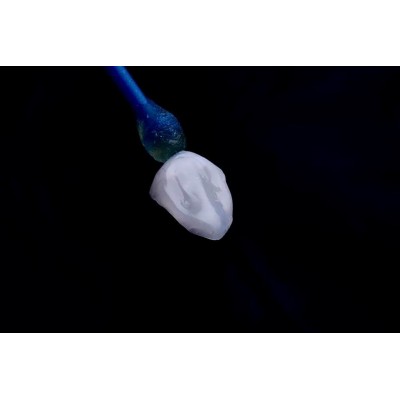 Take Stick - ADHESIVE APPLICATOR FOR VENEERS / CROWNS / INLAYS