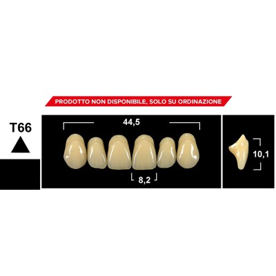 Gebdi Tribos 501 Upper Anterior - 3-layer pmma teeth