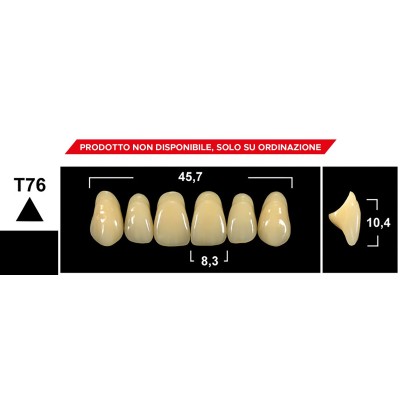 Gebdi Tribos 501 Upper Anterior - 3-layer pmma teeth