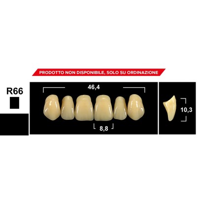 Gebdi Tribos 501 Upper Anterior - 3-layer pmma teeth