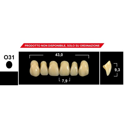 Gebdi Tribos 501 Upper Anterior - 3-layer pmma teeth