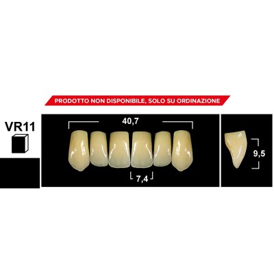 Gebdi Tribos 501 Upper Anterior - 3-layer pmma teeth