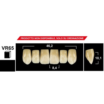 Gebdi Tribos 501 Upper Anterior - 3-layer pmma teeth