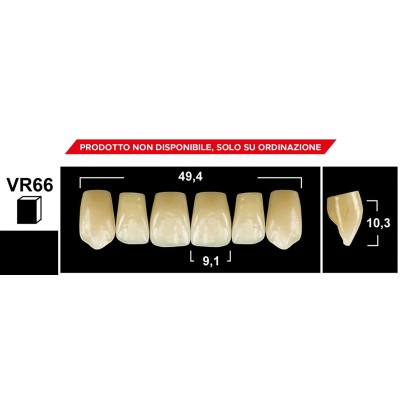 Gebdi Tribos 501 Upper Anterior - 3-layer pmma teeth
