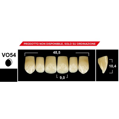 Gebdi Tribos 501 Upper Anterior - 3-layer pmma teeth