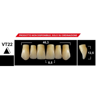 Gebdi Tribos 501 Upper Anterior - 3-layer pmma teeth