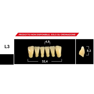 Gebdi Tribos 501 Lower Anterior - 3-ply pmma teeth
