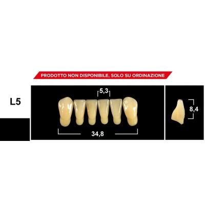 Gebdi Tribos 501 Lower Anterior - 3-ply pmma teeth