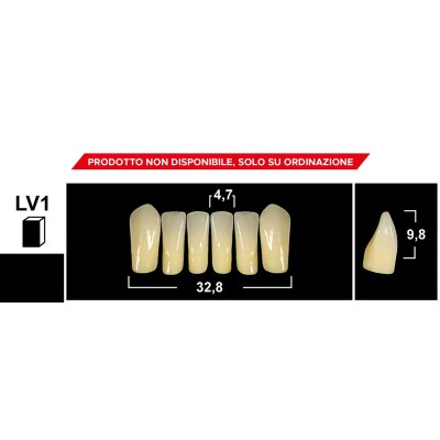 Gebdi Tribos 501 Lower Anterior - 3-ply pmma teeth
