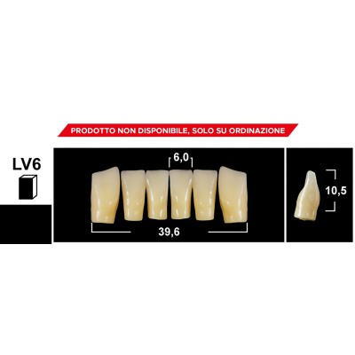 Gebdi Tribos 501 Lower Anterior - 3-ply pmma teeth