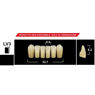 Gebdi Tribos 501 Lower Anterior - 3-ply pmma teeth