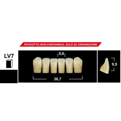 Gebdi Tribos 501 Lower Anterior - 3-ply pmma teeth
