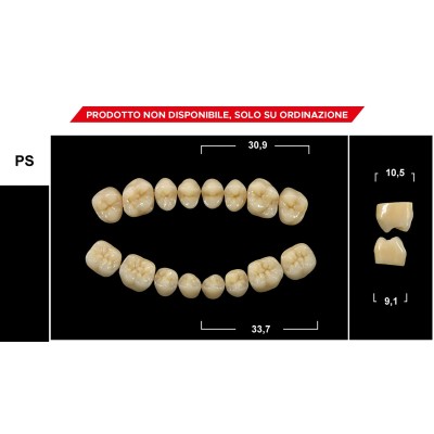 Gebdi Tribos 501 Posterior - PMMA teeth 3 layers