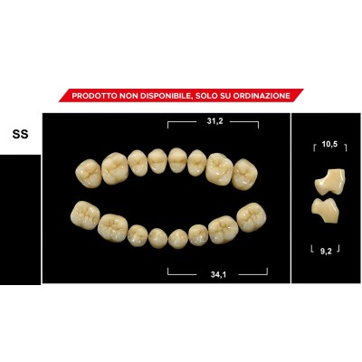 Gebdi Tribos 501 Posterior - PMMA teeth 3 layers