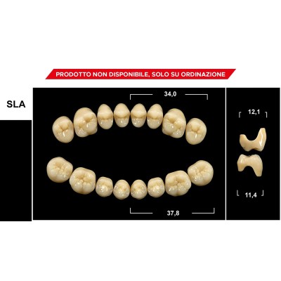 Gebdi Tribos 501 Posterior - PMMA teeth 3 layers