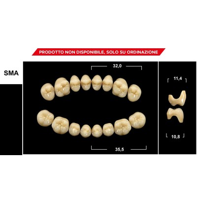 Gebdi Tribos 501 Posterior - PMMA teeth 3 layers