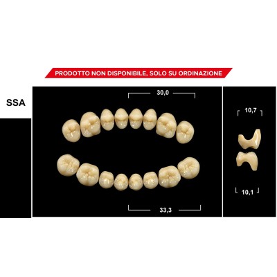 Gebdi Tribos 501 Posterior - PMMA teeth 3 layers