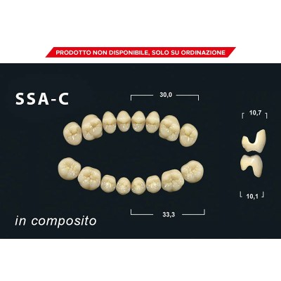 Gebdi Tribos 501 c Posterior - composite teeth