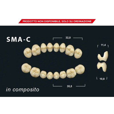 Gebdi Tribos 501 c Posterior - composite teeth