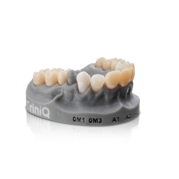VarseoSmile® TriniQ®
