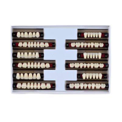 2-layer resin teeth - 1 Box (3 complete mouths - 12 rows) - Art. ACRYLIC TEETH