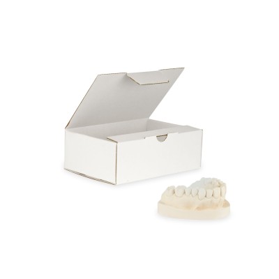 10 Neutral model boxes