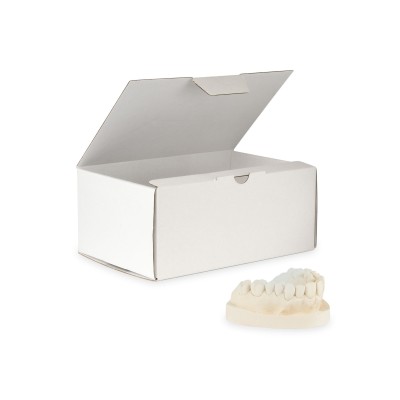 10 Neutral model boxes