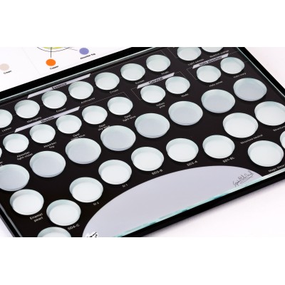 iPaint stain plate by Paolo Miceli for Ceram Art system - CERAMIC MIXING PLATE