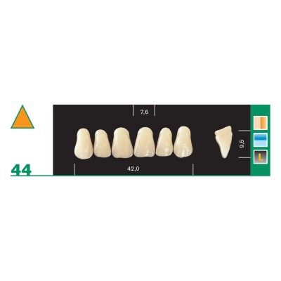 Major Plus Superior Anterior - 4-LAYER ACRYLIC TEETH
